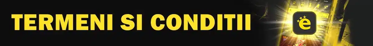 Termeni-si-conditii-generale