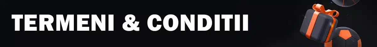 Termeni si conditii generale bonus publicwin